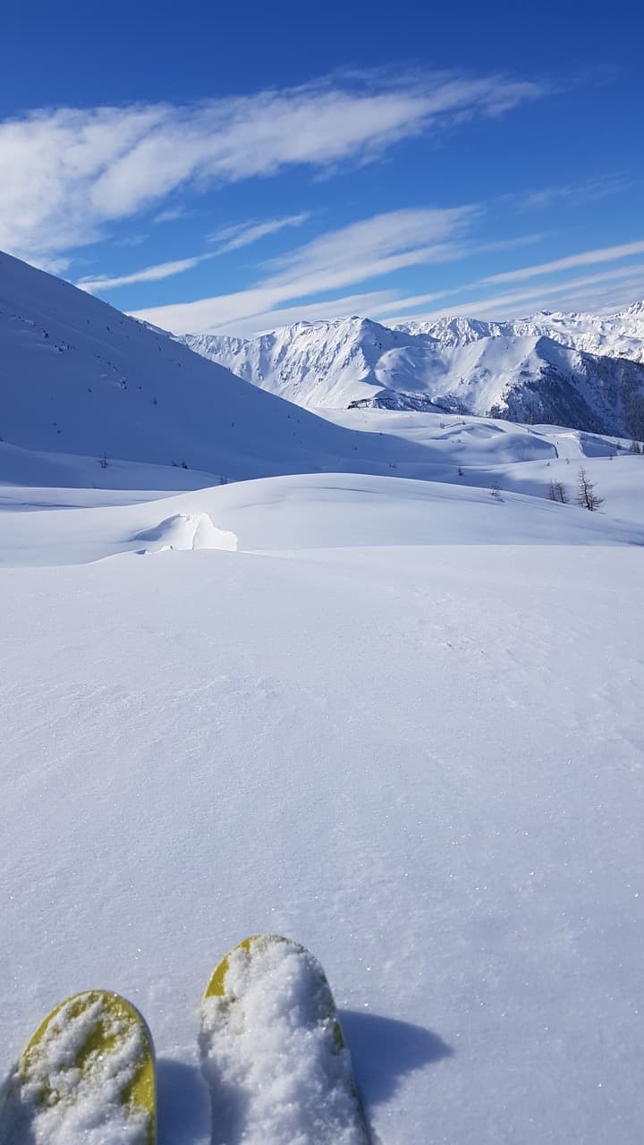 Vacances au ski à Pesey-Vallandry